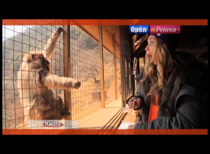 Киото. Япония Орел и решка. На краю света смотреть онлайн