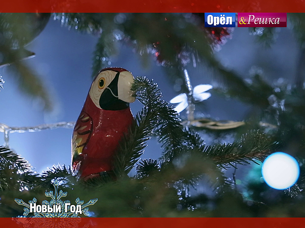 Новый Год В Орле Где Отметить