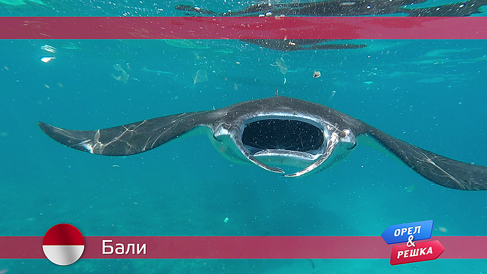 Бали. Индонезия Орел и решка. По морям смотреть онлайн