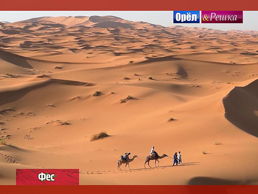 Фес. Марокко - Орел И Решка. Кругосветка Смотреть Онлайн