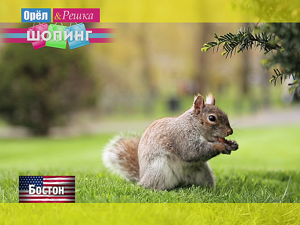 Бостон. Сша - Орел И Решка. Шопинг Смотреть Онлайн
