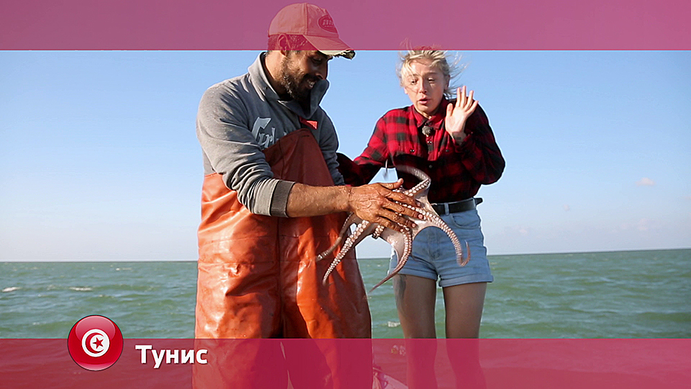 Пустыня Сахара Орел и решка. Чудеса света смотреть онлайн